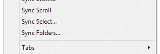 XYplorer Panes 菜单中的 Sync Folders