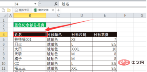 So klassifizieren Sie Felder in Excel