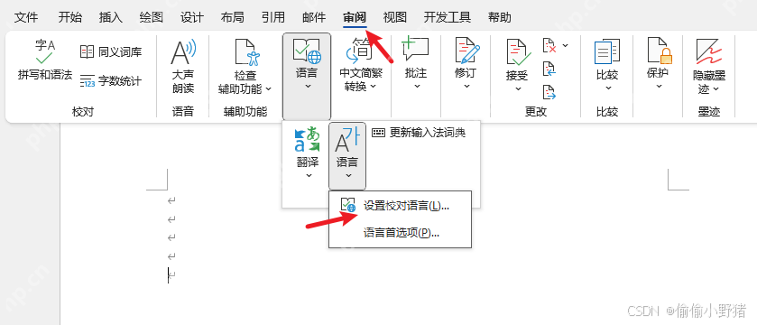 Word 审阅选项卡中的拼写和语法以及语言设置入口