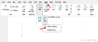 Word 审阅选项卡中的拼写和语法以及语言设置入口
