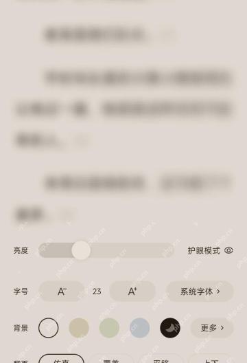番茄免费小说APP怎么开启专注阅读模式步骤2界面