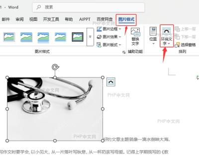 Word 中选中图片并显示图片格式选项卡