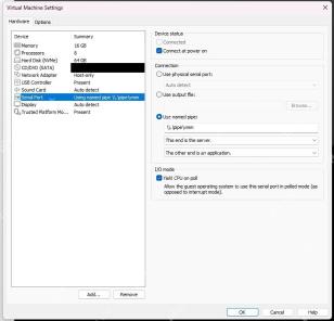 VMware Workstation Virtual Machine Settings 中 Serial Port 使用 named pipe 并显示 Connect at power on