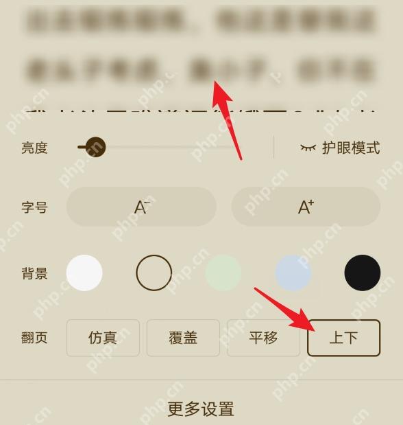 番茄免费小说翻页方式选项,用于切换翻页模式