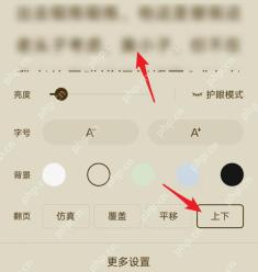 番茄免费小说翻页方式选项,用于切换翻页模式