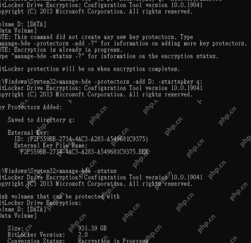 管理员命令提示符查看 BitLocker Protection Status