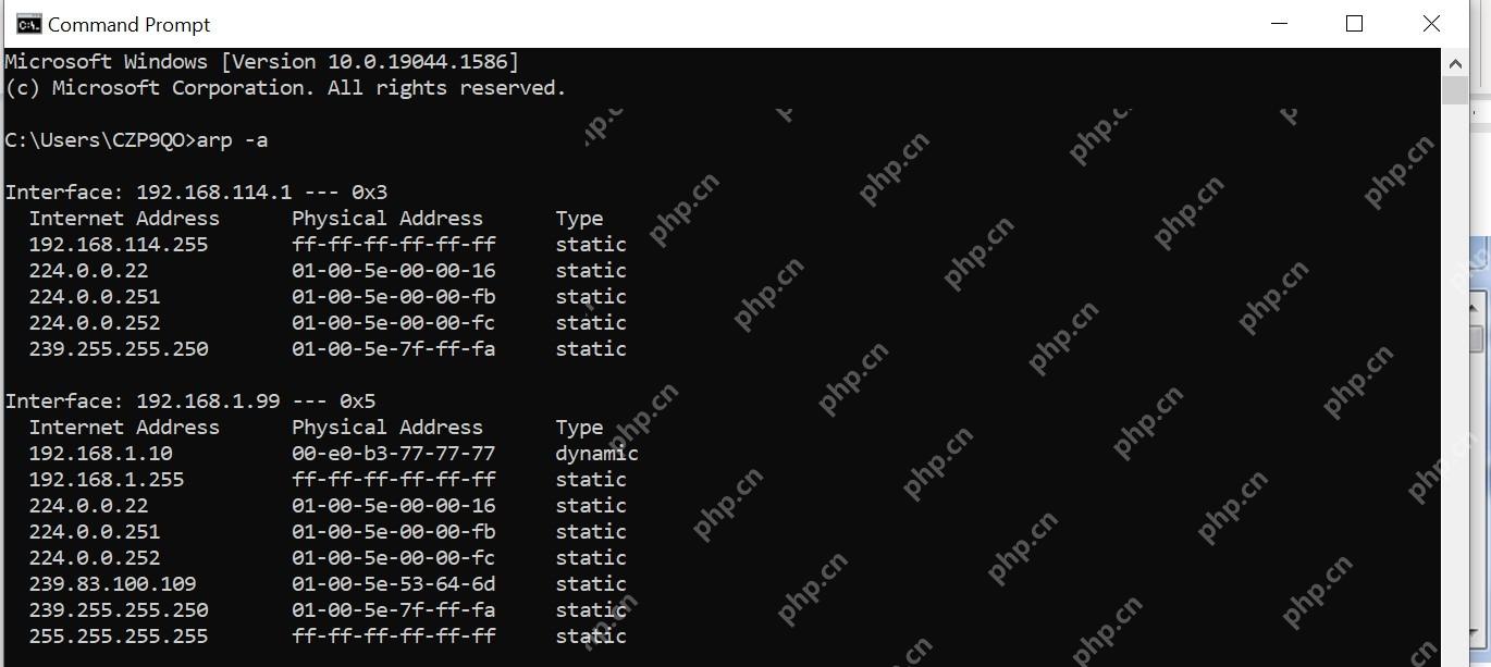 Windows 11 用邻居缓存核对当前 MAC的真实界面截图