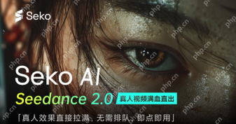 Seko 在线使用入口 Seko 一站式AI商拍摄影入口 - php中文网