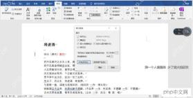 Word修订选项和审阅窗格设置
