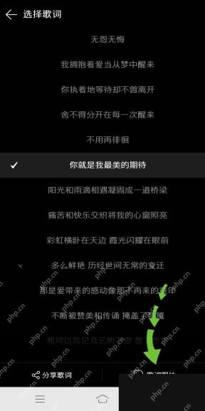 网易云音乐app怎么制作音乐卡片步骤图1
