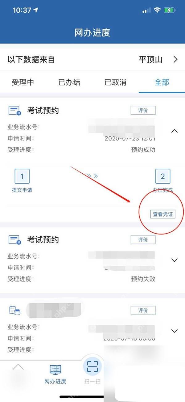 交管12123免检标志提交