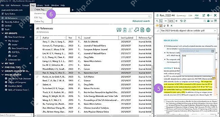 EndNote 21 文献记录添加 PDF 后右侧可切换到 PDF 标签查看全文