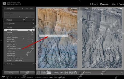 Lightroom Classic Windows 版英文历史记录面板展示导入和连续编辑状态，可选择旧步骤回退