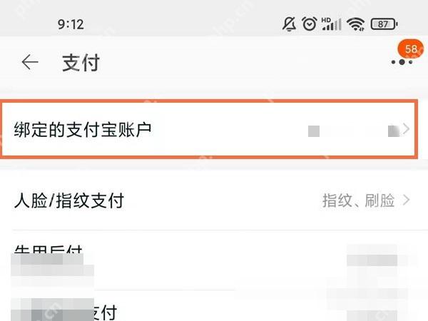 进入支付页后,继续打开已绑定的支付账户。