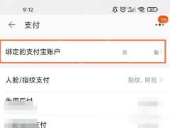 进入支付页后，继续打开已绑定的支付账户。