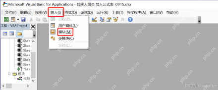 VBA 编辑器中通过插入菜单新建模块