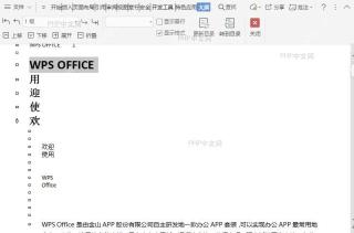 在文档大纲视图中如何上移所选项目？结果检查