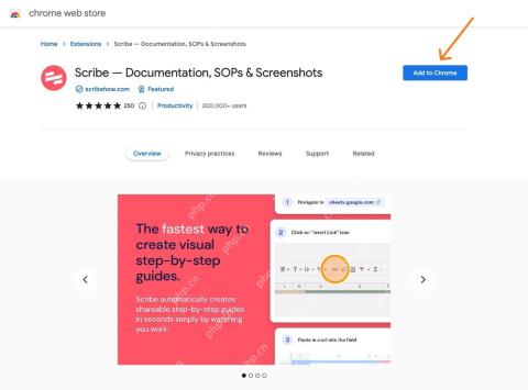 Chrome Web Store 扩展详情与添加按钮