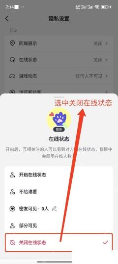 抖音在线状态页面选择关闭在线状态,用于设置隐身在线