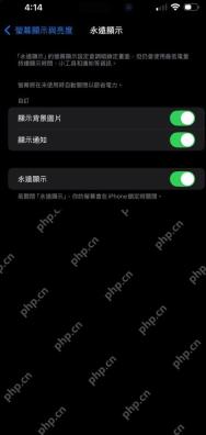 iPhone 永远显示页面中显示背景图片、显示通知和永远显示三个开关均为绿色开启状态