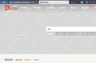 WPS如何查看最近使用的稻壳模板？结果检查