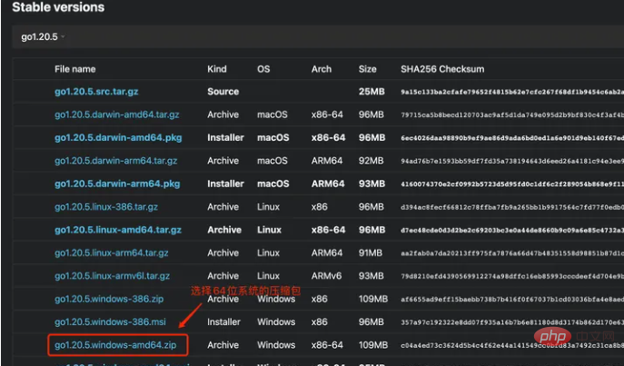 go language environment configuration tutorial