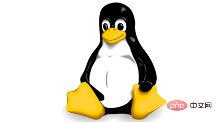 Linux基础知识介绍（后端必备）