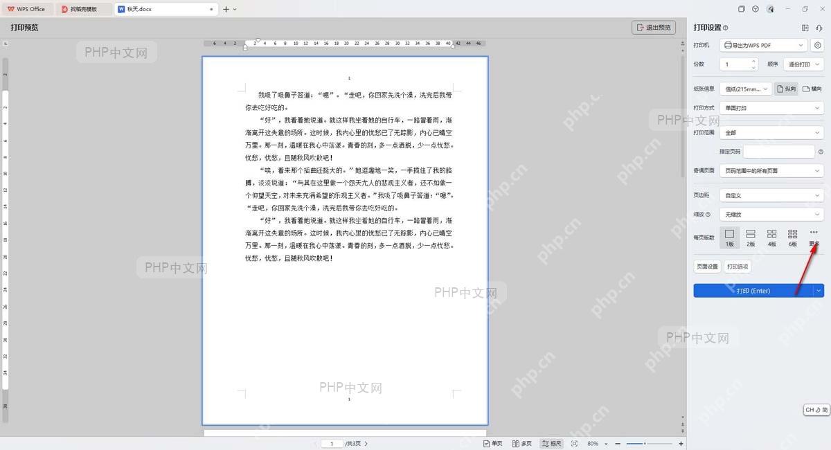 WPS文字打印预览中的打印机、份数、页面范围、版式设置和打印按钮