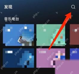 汽水音乐怎么查看歌手全部作品