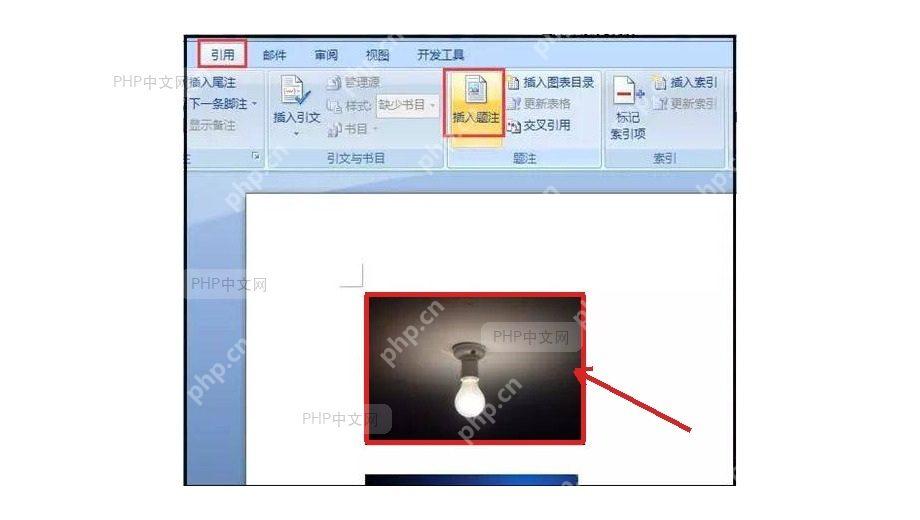 Word 文档中选中图片并准备进入引用选项卡,服务于选中要加题注的图片步骤