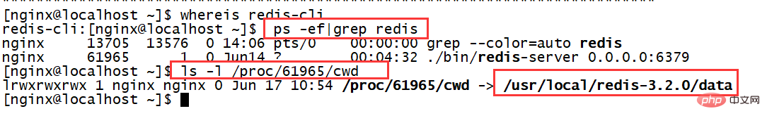 What is the method to view the redis installation directory under Linux?
