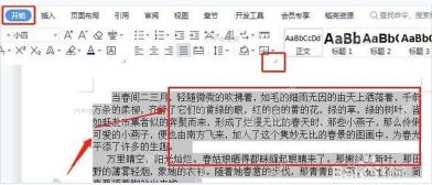 Word 文档中选中需要设置换行分页的段落
