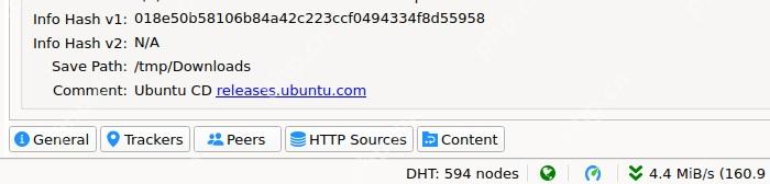 qBittorrent 主窗口底部 General 信息区用于查看任务保存路径