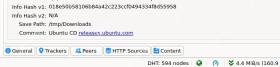 qBittorrent 主窗口底部 General 信息区用于查看任务保存路径
