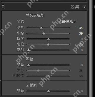 中文界面中的局部效果控制面板