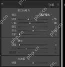 中文界面中的局部效果控制面板