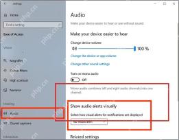 Win10 音频辅助设置中的视觉声音提醒区域