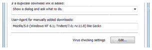 IDM Downloads 页显示手动添加下载的 User-Agent 设置。
