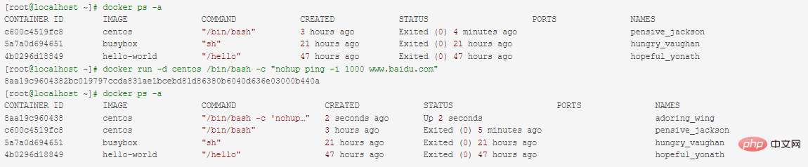 Docker container does not stop exiting