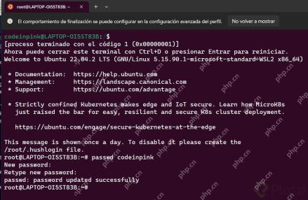 Ubuntu WSL 的 root 终端执行 passwd 并显示密码更新成功
