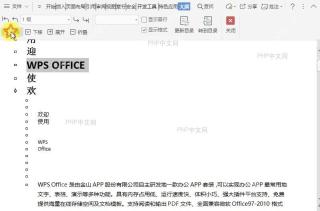在文档大纲视图中如何上移所选项目？设置效果
