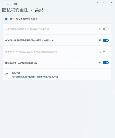Win11 隐私和安全性常规页面的广告 ID 开关