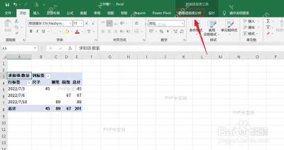 在 Excel 中选中数据透视表并进入分析选项卡