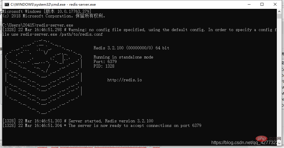 How to configure environment variables after installing redis