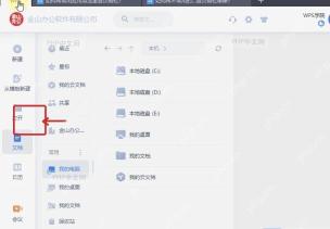 WPS首页左侧导航栏中显示应用入口准备进入应用中心