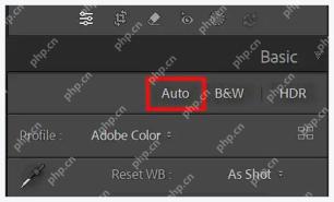 Lightroom Classic Basic 面板中的 Auto 自动调整按钮