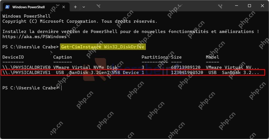 Windows PowerShell Get-CimInstance Win32_DiskDrive 列出 NVMe 磁盘型号和设备编号