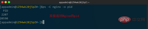 linux如何查看nginx是否啟動