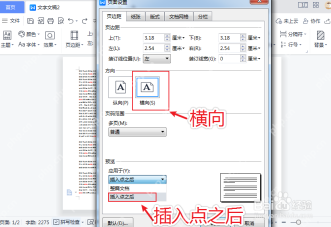 WPS文字页面设置窗口中选择纸张方向和应用范围