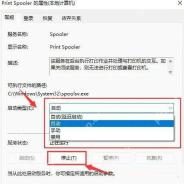 Print Spooler 属性页显示停止按钮和启动类型